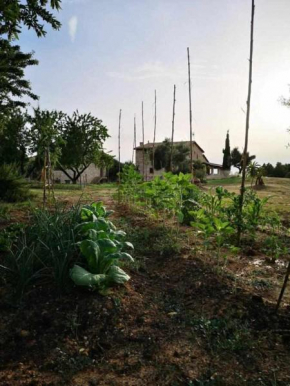 Casa rural restaurante Mas Del Rei